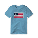 USA Flag BBQ Grilling, Classic Cotton Tee