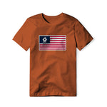 USA Flag BBQ Grilling, Classic Cotton Tee