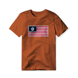 USA Flag BBQ Grilling, Classic Cotton Tee