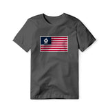 USA Flag BBQ Grilling, Classic Cotton Tee