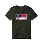 USA Flag BBQ Grilling, Classic Cotton Tee