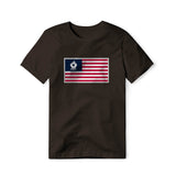 USA Flag BBQ Grilling, Classic Cotton Tee